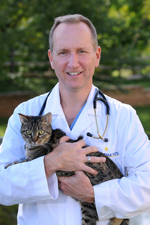 Dr. Daniel Stobie, DVM, MS, DACVS - Regenerative Medicine Now